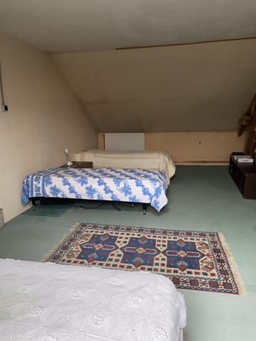 Cinq-Mars-la-Pile (37130) Local commercial