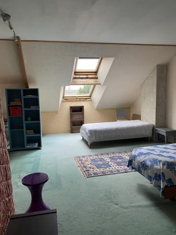 Cinq-Mars-la-Pile (37130) Local commercial