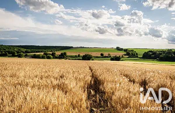 Terrain à vendre 600 000 m² Sion