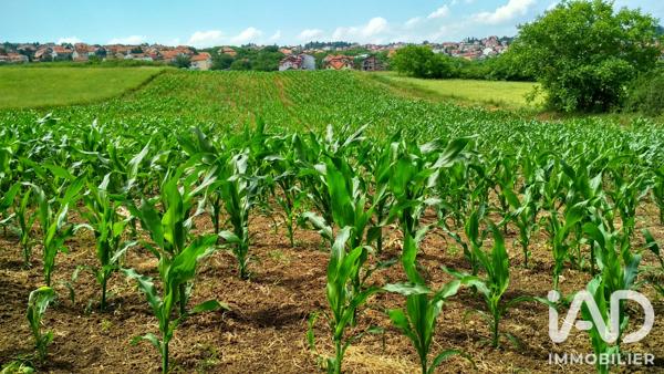 Terrain à vendre 600 000 m² Sion