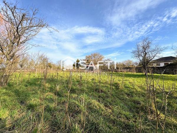 Maison de caractère avec 2 appartements indépendants – Dépendance – Terrain de 57 ares
