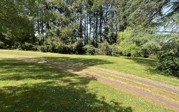 Maison à vendre    5 pièces •  Cognac-la-Forêt