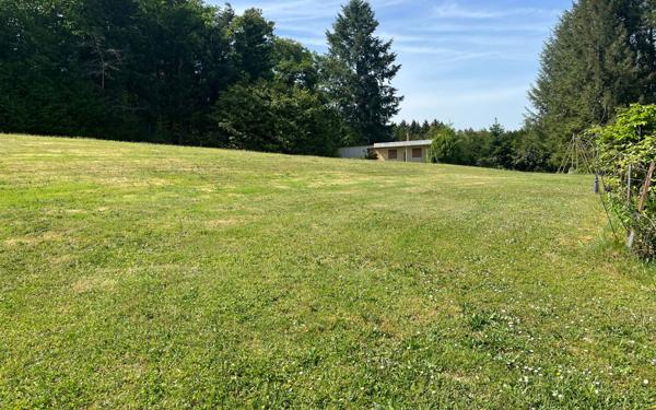 Maison à vendre    5 pièces •  Cognac-la-Forêt