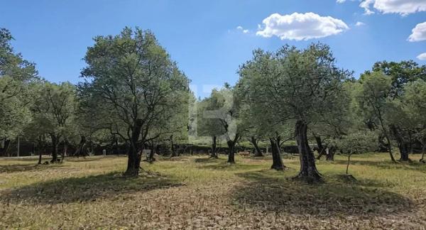 Terrain plat à vendre proche Valbonne village