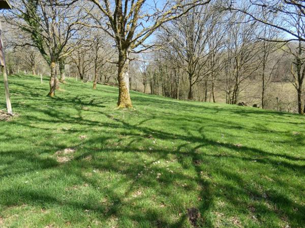 Maison , 240m² , hors d 'eau , 7668 m² de terrain