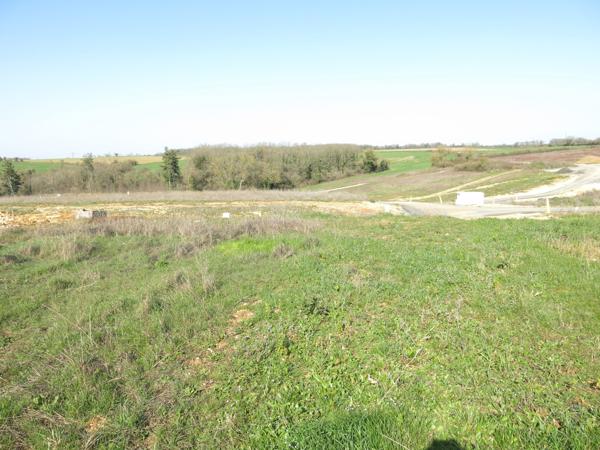 Vente Terrain , Montamisé