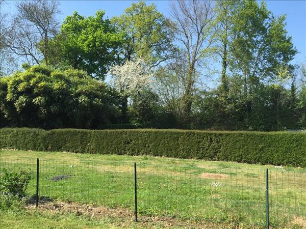 Location maison Prinquiau : 898 € - AJP Immobilier Savenay