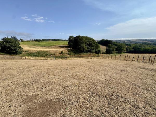 Rieupeyroux – Maison en pierre avec granges et 1,9 ha