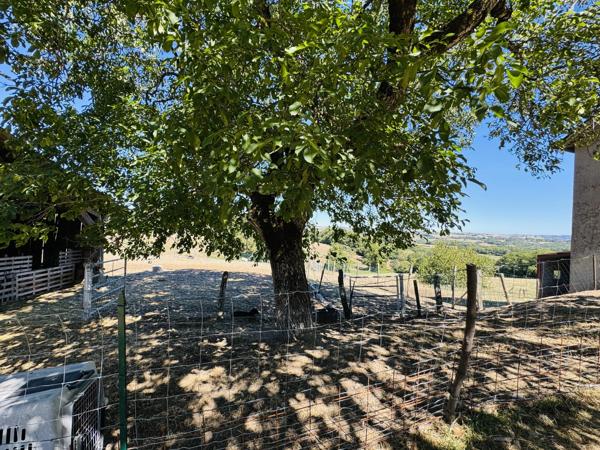 Rieupeyroux – Maison en pierre avec granges et 1,9 ha