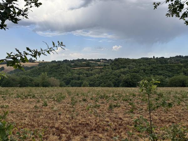 Rieupeyroux – Maison en pierre avec granges et 1,9 ha