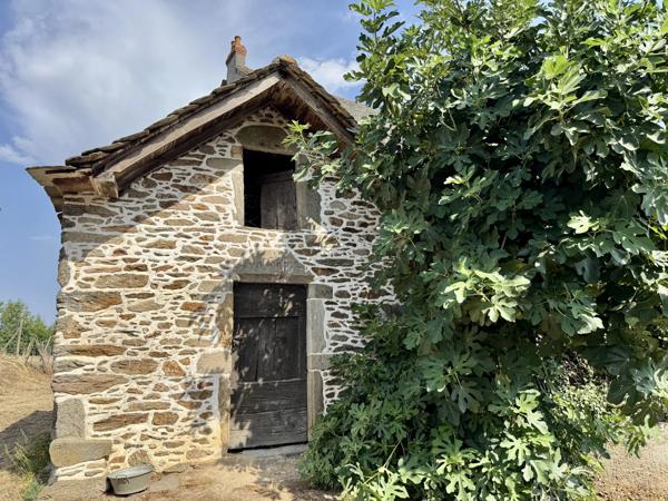 Rieupeyroux – Maison en pierre avec granges et 1,9 ha