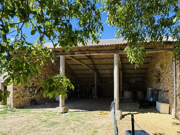 Rieupeyroux – Maison en pierre avec granges et 1,9 ha