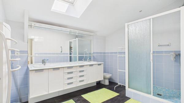 Maison 310M2, 4 chambres, Dépendances 220M2, parc aboré, piscine