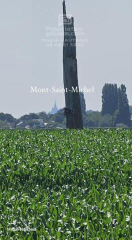 Maison en pierre et dépendances à rénover Le Val Saint Père 6 pièce(s) 142 m2