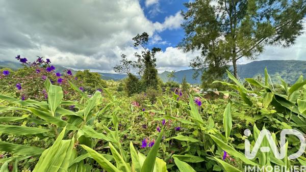 Terrain à vendre 1 090 m² La Plaine-des-Palmistes