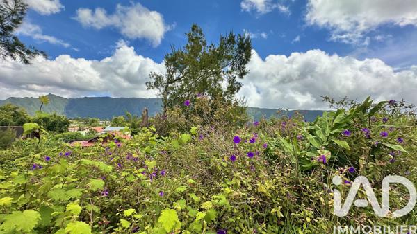 Terrain à vendre 1 090 m² La Plaine-des-Palmistes