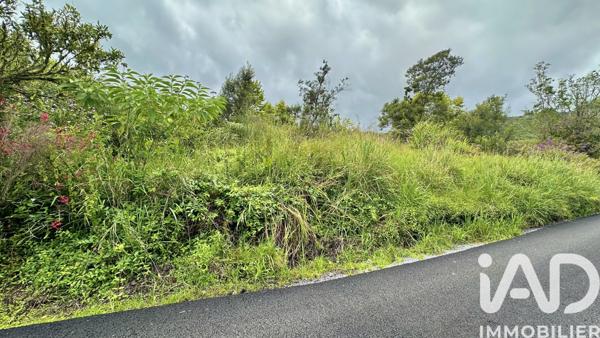 Terrain à vendre 1 090 m² La Plaine-des-Palmistes