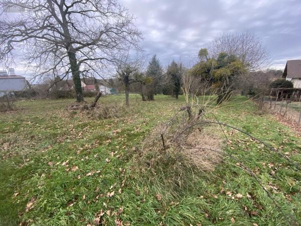 Terrain à Batir à vendre à Courtenay dans le Loiret (45320), ref : 45050-1346