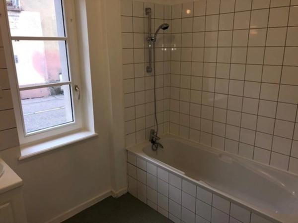 LUNEVILLE ENSEMBLE DE 3 APPARTEMENTS. 2 F3 & 1F2 PARFAIT ETAT PROCHE GARE.