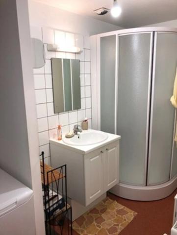 LUNEVILLE ENSEMBLE DE 3 APPARTEMENTS. 2 F3 & 1F2 PARFAIT ETAT PROCHE GARE.