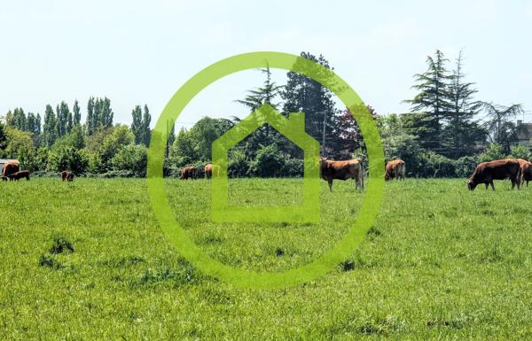 Maison individuelle à MAULEON (79700)