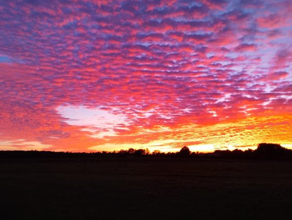 Maison individuelle à MAULEON (79700)