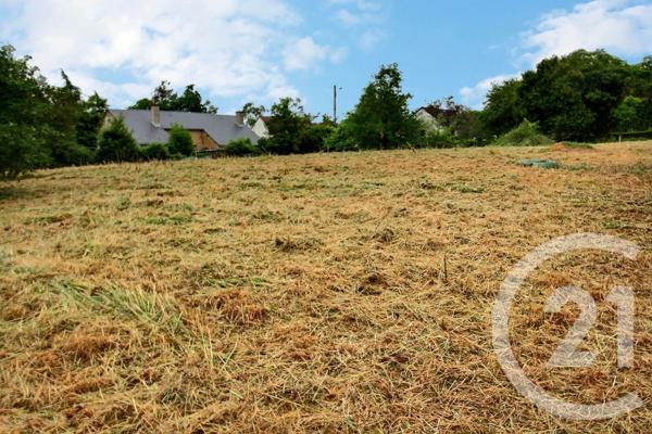 Terrain à vendre  3372 m2 VENDOME - 41