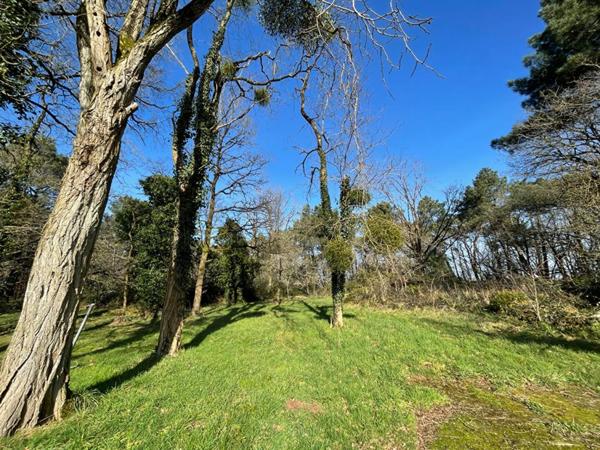 LONGERE ATYPIQUE ET SON TERRAIN BOISE