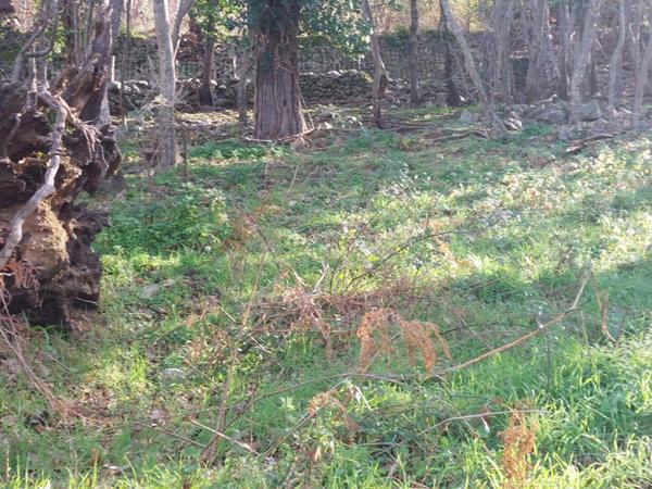 Terrain Ville Di Paraso   1361 m²