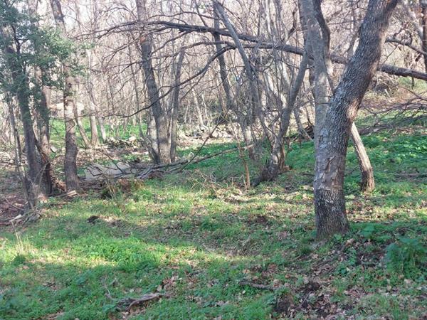 Terrain Ville Di Paraso   1361 m²