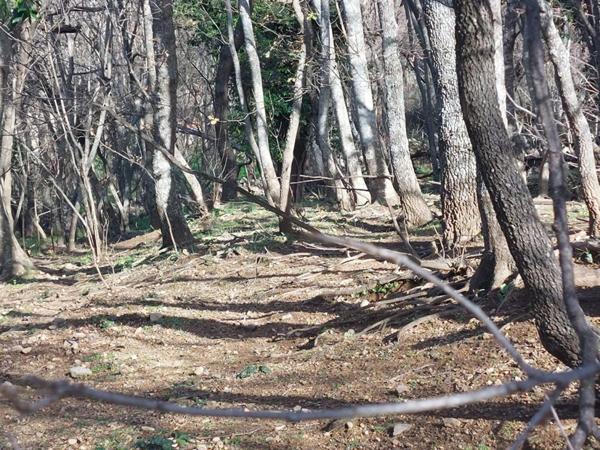 Terrain Ville Di Paraso   1361 m²