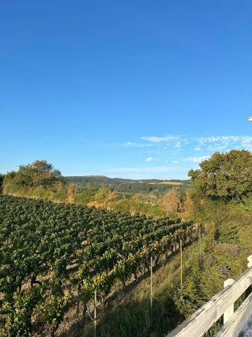 Maison 295 m2 + terrain 1500 m2 PRISSE (71)
