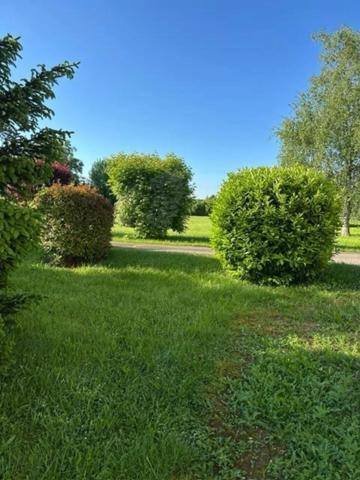 Maison 295 m2 + terrain 1500 m2 PRISSE (71)