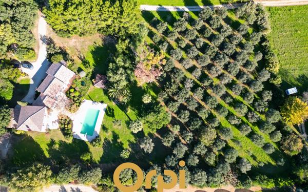 Maison à vendre    6 pièces •  Ollioules