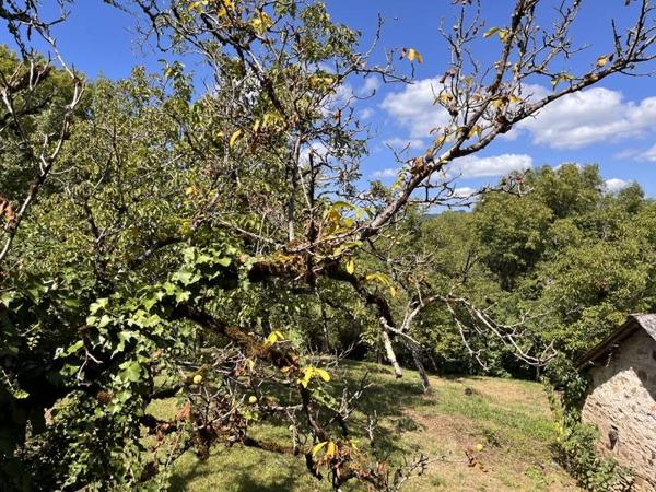 Maison à vendre |  Nonards |  7 pièces | 120 m²