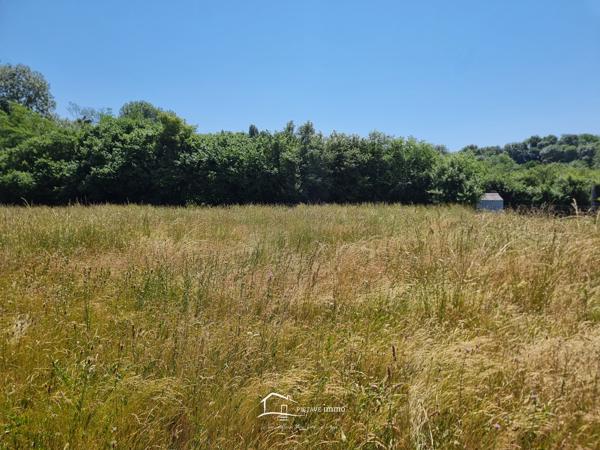 TERRAIN A BATIR 967m2 Sanxay (86600)