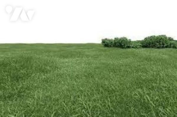 Gouville-sur-Mer, terre agricole de 00ha 42a 41ca
