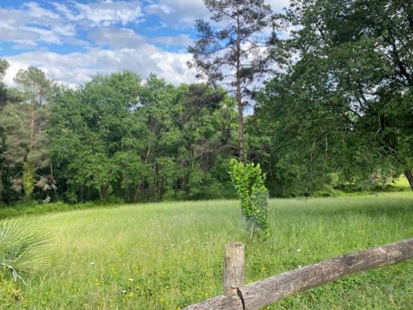 Magnifique maison de Maître, à vendre, 6 pièces SAINT ASTIER (24) avec vues, sur plus de 17 ha de terrain arboré et vallonné.