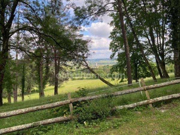 Magnifique maison de Maître, à vendre, 6 pièces SAINT ASTIER (24) avec vues, sur plus de 17 ha de terrain arboré et vallonné.