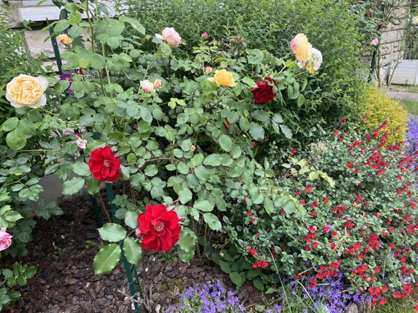 L'Haÿ-les-Roses (94240) Maison divisible de 183 m2 sur Terrain de 755 m2. 2 entrées distinctes