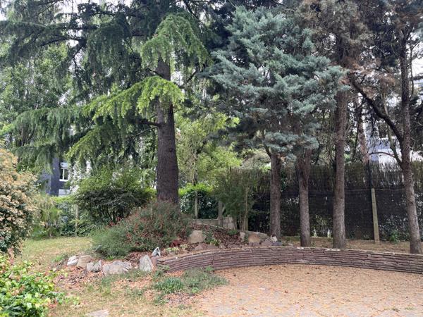 L'Haÿ-les-Roses (94240) Maison divisible de 183 m2 sur Terrain de 755 m2. 2 entrées distinctes