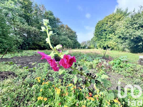 Maison à vendre 9 pièces 223 m² Plobannalec-Lesconil