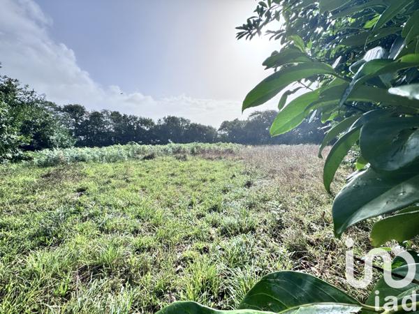 Maison à vendre 9 pièces 223 m² Plobannalec-Lesconil