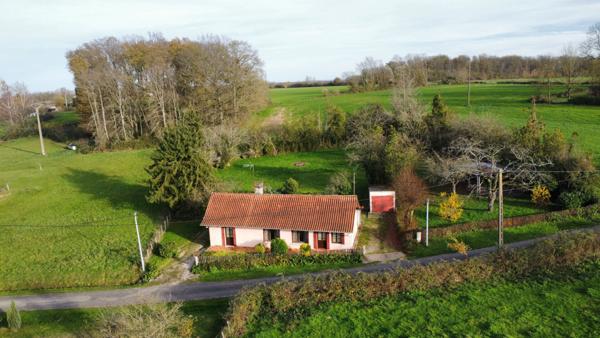 Charmante maison de plain-pied sur grand terrain arboré de 2000 m², à 8 minutes des Arcades de Louhans, 20 minutes de Tournus.