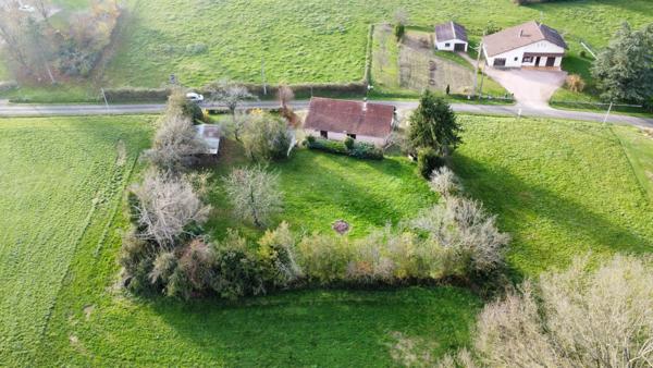 Charmante maison de plain-pied sur grand terrain arboré de 2000 m², à 8 minutes des Arcades de Louhans, 20 minutes de Tournus.