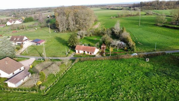 Charmante maison de plain-pied sur grand terrain arboré de 2000 m², à 8 minutes des Arcades de Louhans, 20 minutes de Tournus.