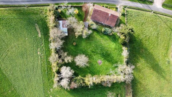 Charmante maison de plain-pied sur grand terrain arboré de 2000 m², à 8 minutes des Arcades de Louhans, 20 minutes de Tournus.