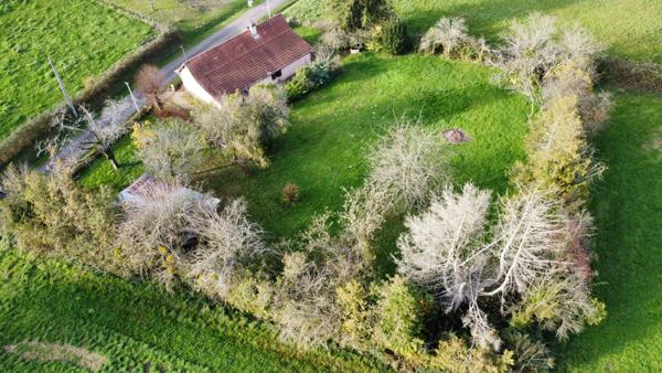 Charmante maison de plain-pied sur grand terrain arboré de 2000 m², à 8 minutes des Arcades de Louhans, 20 minutes de Tournus.