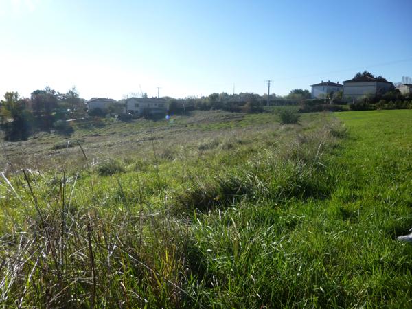 Moissac (82200) Opportunité Exceptionnelle : Terrain Constructible à Moissac, Tarn-et-Garonne