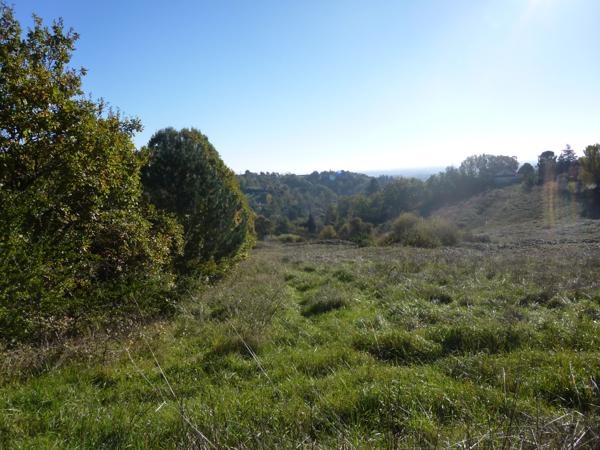 Moissac (82200) Opportunité Exceptionnelle : Terrain Constructible à Moissac, Tarn-et-Garonne